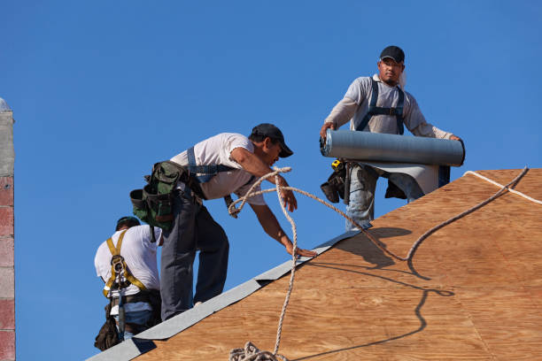 Best Storm Damage Roof Repair  in Tallapoosa, GA