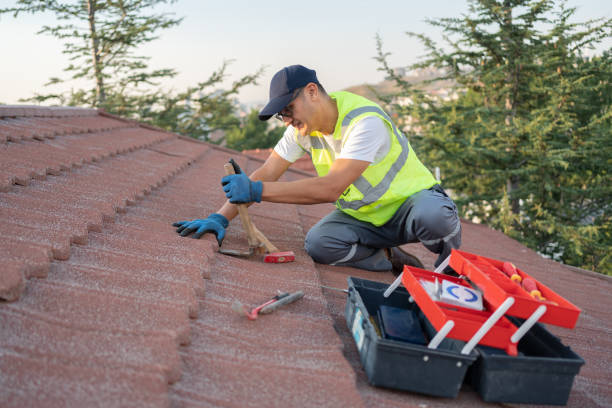 Best Roof Gutter Cleaning  in Tallapoosa, GA